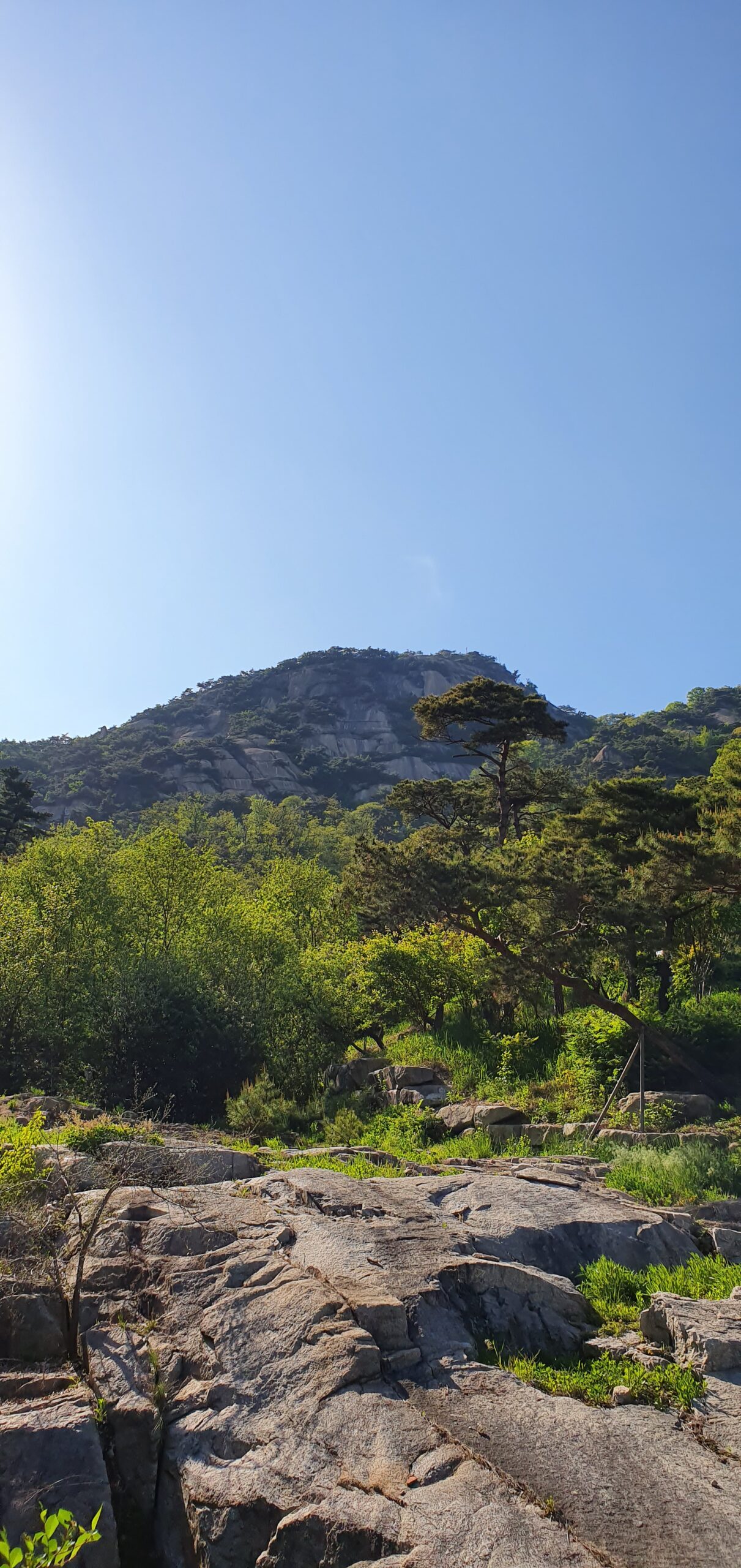 서울근교 초보 등산코스
주말 등산 추천
등산 준비운동
등산 무릎보호대
신세이 보호대