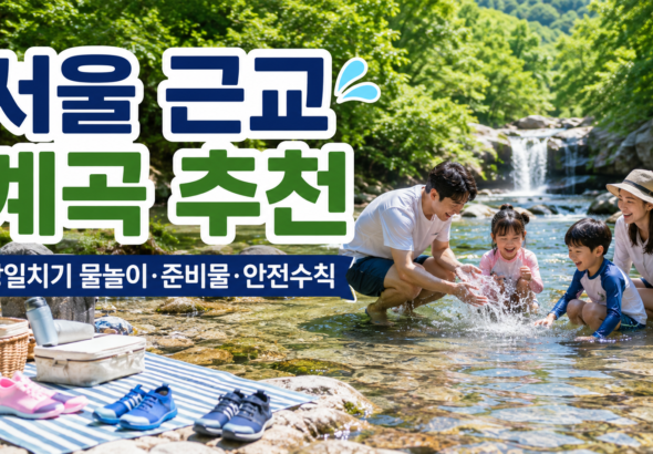 서울 근교 계곡 당일치기 물놀이 계곡 물놀이 준비물 계곡 물놀이 안전수칙 서울 근교 물놀이 명소