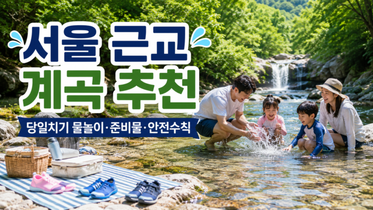 서울 근교 계곡 당일치기 물놀이 계곡 물놀이 준비물 계곡 물놀이 안전수칙 서울 근교 물놀이 명소